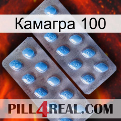 Камагра 100 viagra4